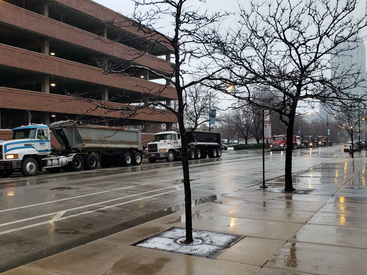 Trim's Trucking fleet lined up on a Chicago street